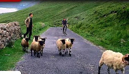 The Mariner, Ξενοδοχείο